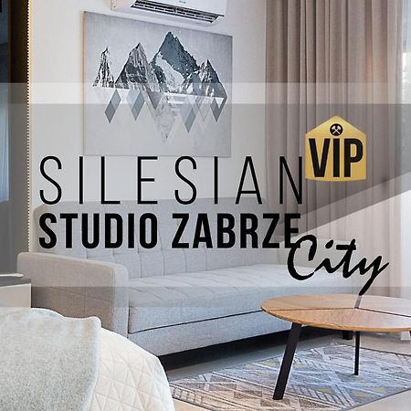 Studio Silesian Vip City Centrum Free Parking Zabrze Exteriér fotografie