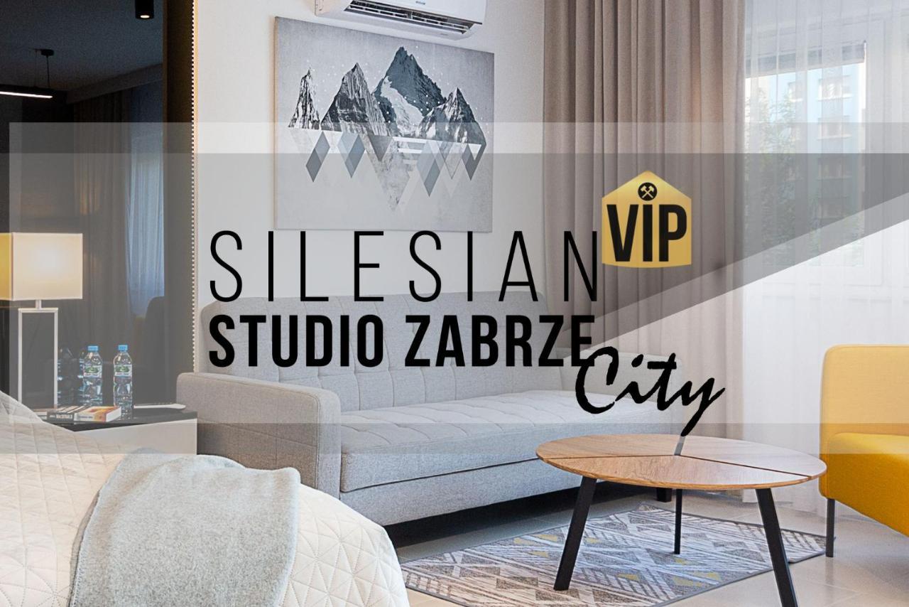 Studio Silesian Vip City Centrum Free Parking Zabrze Exteriér fotografie